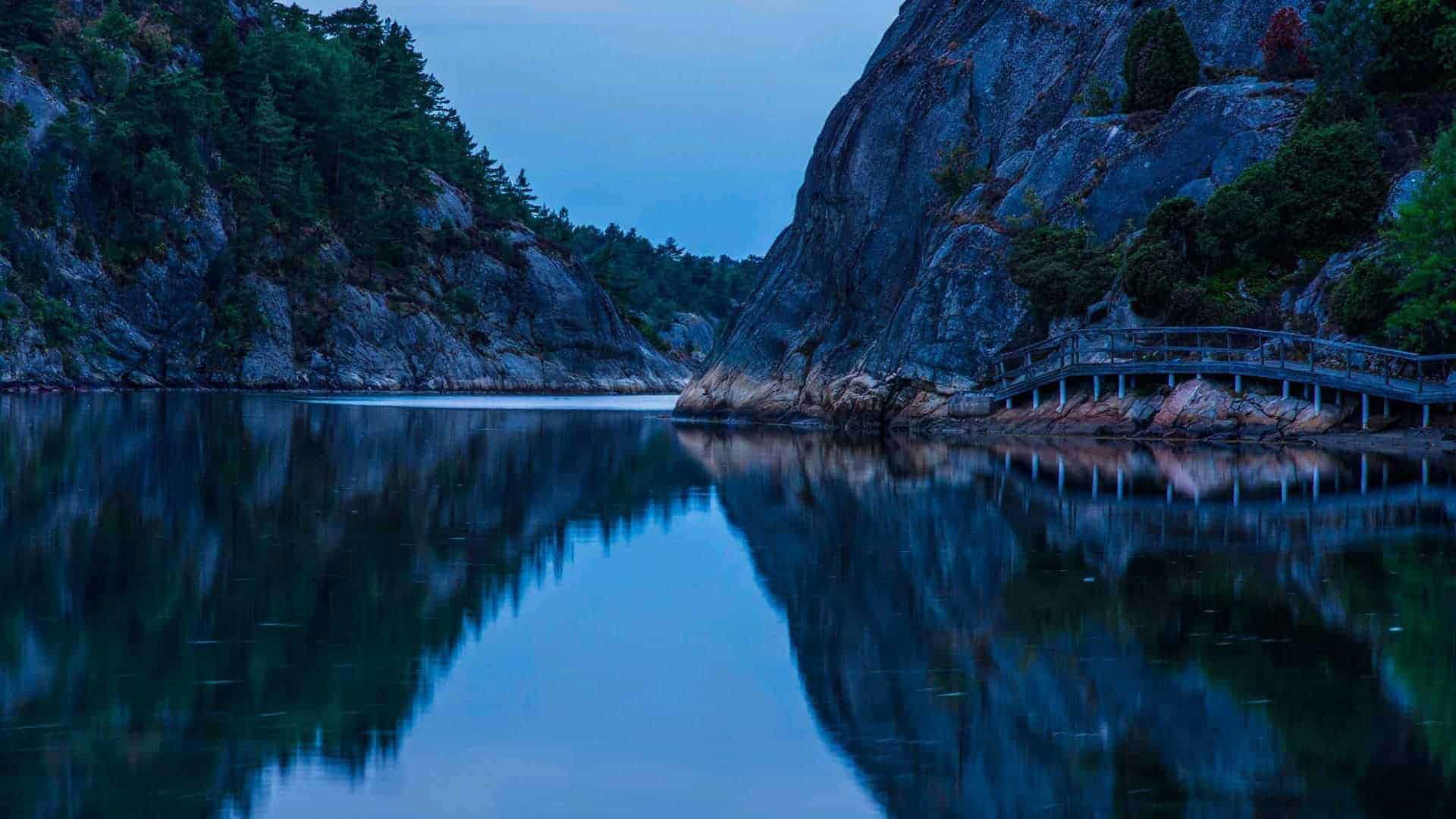 a body of water with a bridge and trees